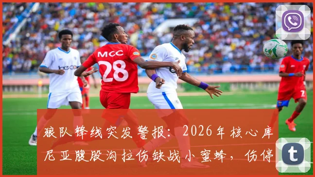 狼队锋线突发警报：2026年核心库尼亚腹股沟拉伤缺战小蜜蜂，伤停时间预估与替代者分析全览