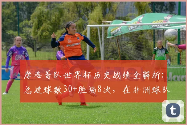 摩洛哥队世界杯历史战绩全解析:总进球数30+胜场8次,在非洲球队中排名如何?2026年前景展望